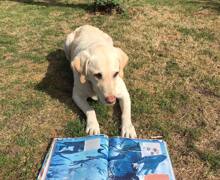 521994846 753583903846659 8961703509304359938 n