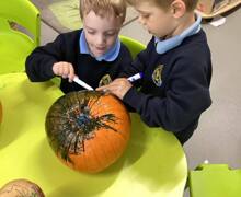 565557251 17916134310199409 4164986416899645528 n