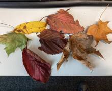 566318365 826985009839881 4122420526260547026 n