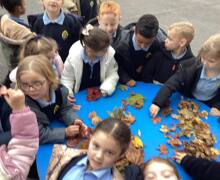 565211417 826985079839874 2463400461621709715 n