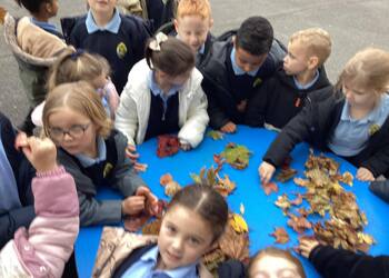 KS1 Autumn Investigation