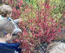 566223166 826985176506531 939350539371673912 n