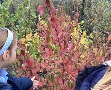 565684339 826984956506553 207285535248662913 n