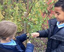 567516301 826984943173221 1231522430807896811 n