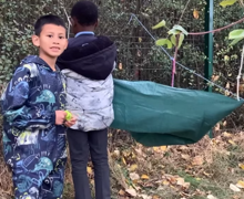 Screenshot 2025 11 03 104738