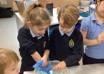Science Investigation - KS1