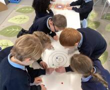 611744921 886781877193527 1442298068922331477 n