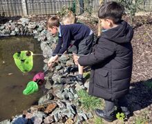 487815991 672034342001616 3788455839825227155 n