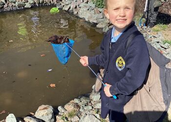 Pond project