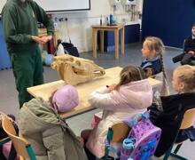 487393795 667517725786611 6885579047510626929 n