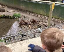 487283619 667517902453260 5998699566876362140 n