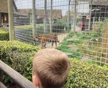 487172831 667517695786614 5491464212114619014 n