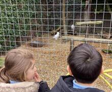 487177786 667517912453259 8845508958607752983 n