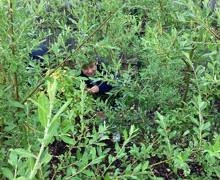 503707218 718567294014987 3795978489638802994 n