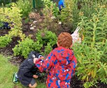 504433028 718567397348310 5845108073624066567 n