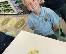 498199560 717043960833987 3987867041677508131 n