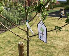 491441738 17899089345199409 8667511851613181165 n