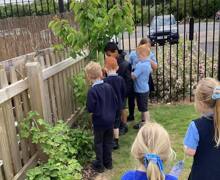 499988331 17899089306199409 3202829675602532816 n