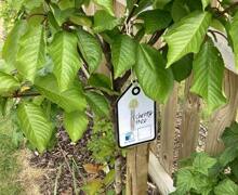 500045064 17899089324199409 6786100420303177657 n