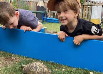 Houdini the Tortoise visits EYFS