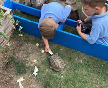 521536531 17905672488199409 3536903133976524309 n