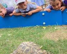 520542335 17905672479199409 1677513605544334023 n